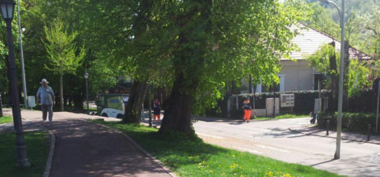 Cristian Niculae, viceprimarul Bistriței: „Este o măsură grea, dar necesară pentru protejarea tuturor bistrițenilor”